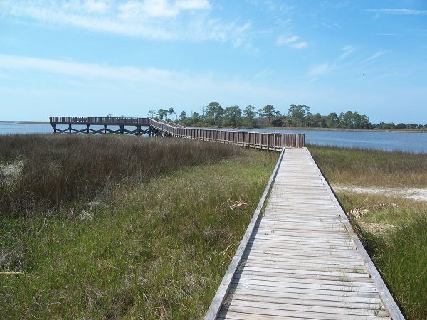 Cedar Key Fl Jobs